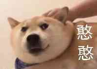 TIM图片20190725101752.jpg